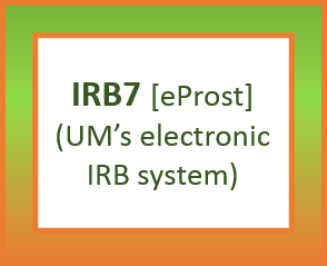 um irb7